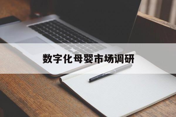 廊坊市数字化母婴市场调研(数字化母婴市场调研报告)
