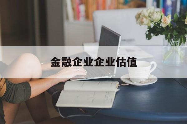廊坊市金融企业企业估值(最新企业估值怎么填)